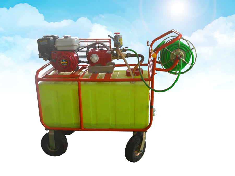 1584081260569052.jpg 4.jpg